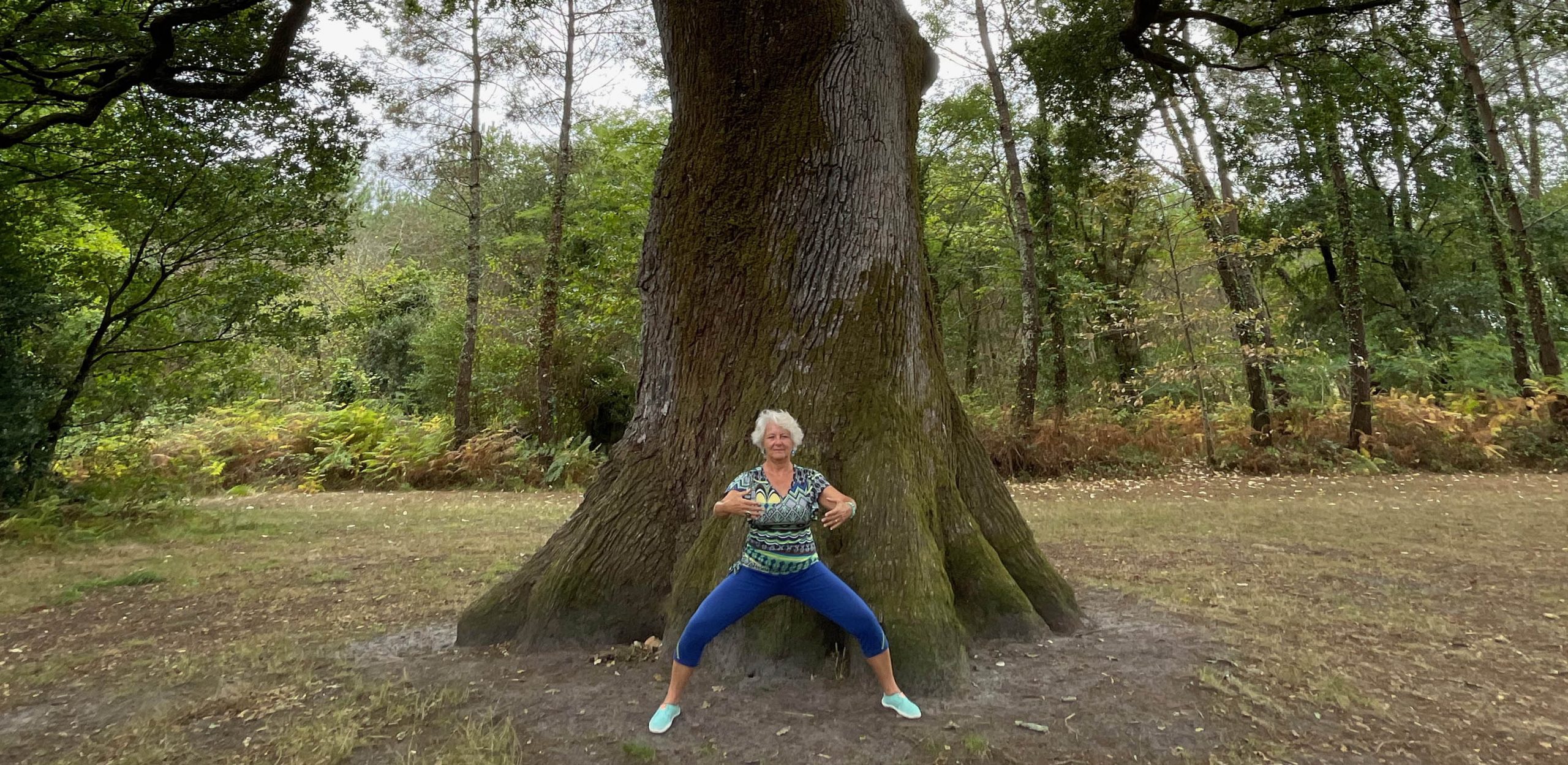 Stage_QI GONG Taoiste Harmonie avec la nature_Dim. 02 octobre 2022